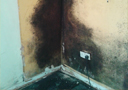 condensation black mould